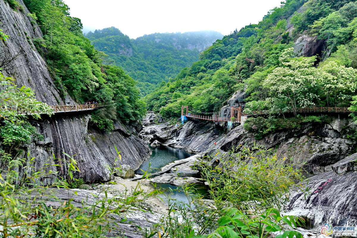 安徽悠南山养老产业有限公司,悠南山养老